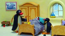 Pingu S05E17 pingu gets lost