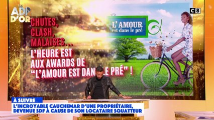 "Les ADP d'or" : les awards de "L'amour est dans le pré" !