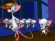 Pinky And The Brain - S3E19 E20 - Pinky And The Brainmaker, Calvin Brain