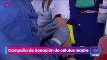 Alcaldía Benito Juárez lanza campaña de donación de células madre