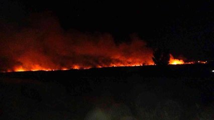 Uluslararası koruma altında bulunan Göksu Deltası'nda yangın