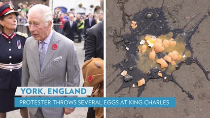 King Charles and Queen Camilla Had Eggs Thrown at Them by Protester During Latest Royal Outing