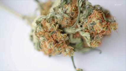 Recreational Cannabis Is Now Legal in 2 More States