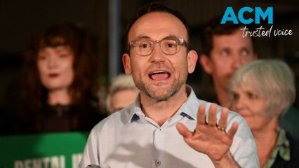 Greens leader Adam Bandt on Australia's gas industry