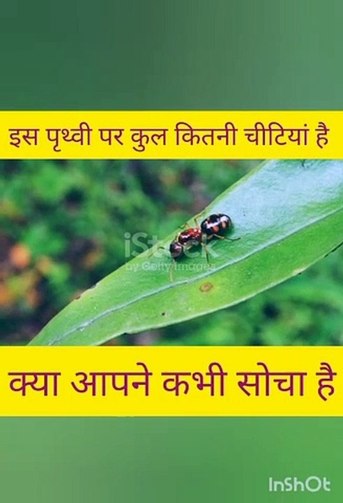 क्या आपने कभी सोच है इस पृथ्वी पर कितनी चिटिया...