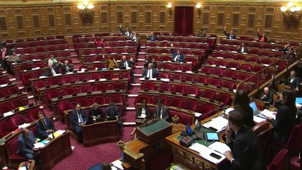 Budget de la Sécu : le Sénat vote en faveur de la quatrième année d'internat en médecine générale