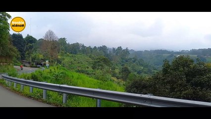 JALANNYA MULUS... Jalur Alternatif Puncak Via Megamendung - Taman Safari