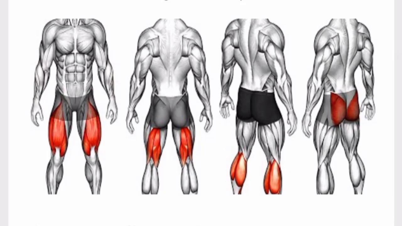 Best hamstrings QUADRICEPS calves exercise at home _ workout at home