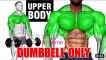 upper body workout at home _ workout at dumbles _lk workout