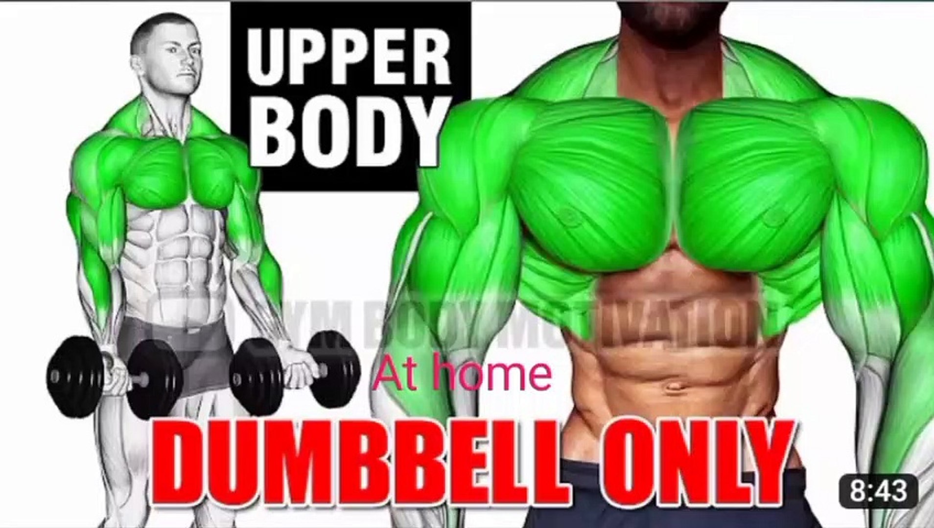 ⁣upper body workout at home _ workout at dumbles _lk workout