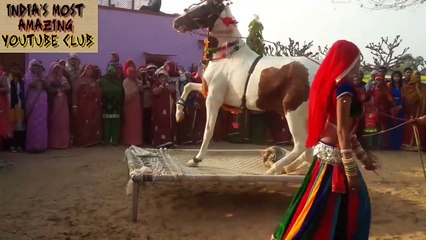 The most wonderful and fun Indian style animal dance