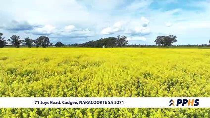 KARATTA PPHS, farms SA | November 10, 2022 | Farmonline