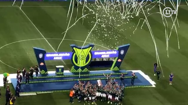 Palmeiras ergue a taça de campeão brasileiro diante da sua torcida no Allianz Parque