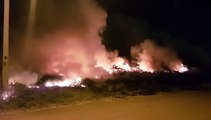 Incêndio toma conta de vegetação nas proximidades do Trevo Ceasa