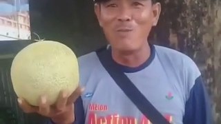 Pedagang melon