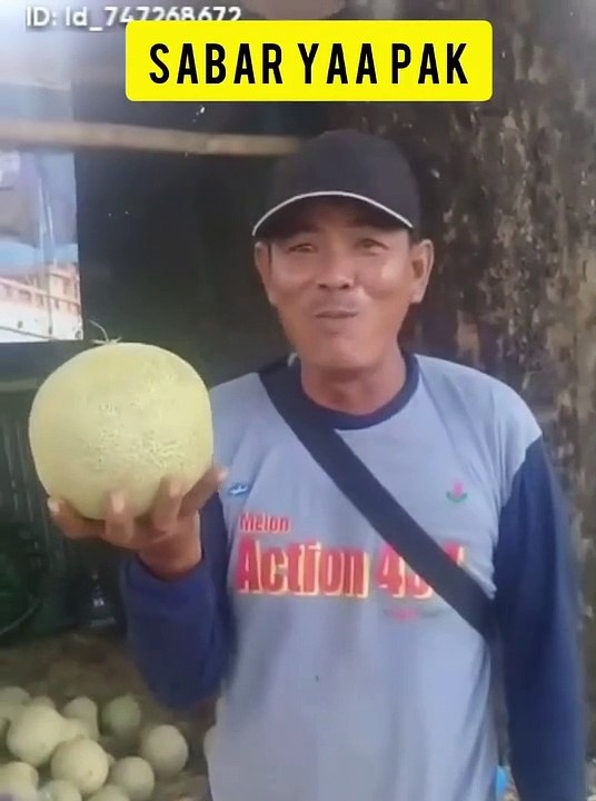 Pedagang melon
