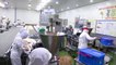 Process of making dumplings by 170 employees. South Korean dumpling factory