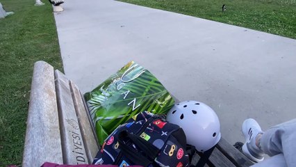 Stray Cat Climbs into Person's Bag