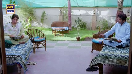 Woh Pagal Si Episode 22