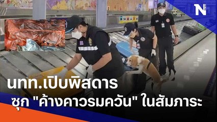 นทท.เปิบพิสดารซุก "ค้างคาวรมควัน" ในสัมภาระ | เนชั่นทันข่าวเที่ยง | NationTV22