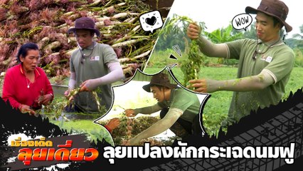 เรื่องเด็ดลุยเดี่ยว | ลุยแปลงผักกระเฉดนมฟู "ลุงสามารถ" จ.นนทบุรี | ข่าวเที่ยงอมรินทร์ | 8 พ.ย.65