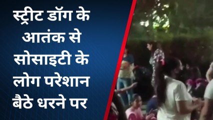 "स्ट्रीट डॉग" के आतंक से सोसाइटी के लोग परेशान बैठे धरने पर, लोगों को समझाने में जुटी पुलिस