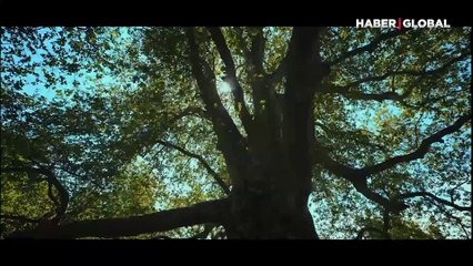 Fenerbahçe'den 10 Kasım paylaşımı: Büyük Atatürk, bizi biz yapan tüm değerleri 'Senden Aldık'