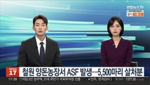 철원 양돈농장서 ASF 발생…5,500마리 살처분