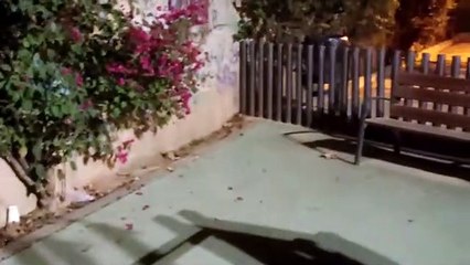 Las ratas invaden un parque infantil de Badalona