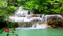 1 Hour of Piano Relaxing Music with Birds and Waterfall Sound For Sleeping, Studying, Healing, and Meditation