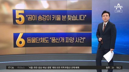 “곰이 송강이 키울 분 찾습니다”…지자체에 전화 돌리는 까닭