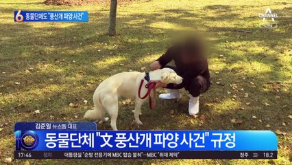 동물단체도 “풍산개 파양 사건”…文 “이제들 그만 합시다”