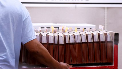 الانتخابات الأميركية.. استمرار فرز الأصوات في ولاية نيفادا