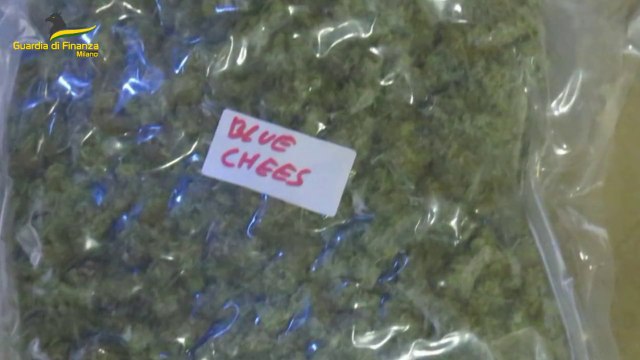 Milano, Smantellato maxi traffico di droga. 42 misure cautelari