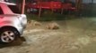 Fuertes lluvias causan emergencia en varios municipios de Cundinamarca