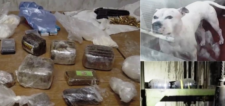 Blitz anticamorra nel Napoletano: trovate armi, droga e bombe carta (10.11.22)