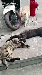 YouCut_20221110_195025022