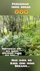 Pig-headed woman, satanic ritual