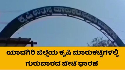 ಯಾದಗಿರಿ: ಕಾಟನ್‌ಗೆ ಉತ್ತಮ ದರ, ಸೂರ್ಯಕಾಂತಿಯ ರೇಟ್ ಎಷ್ಟು?