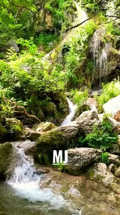 Soothing nature scenery and waterfall #forest #waterfall #naturelovers #naturesounds #mjsouvenir
