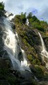 Relaxing Waterfall Sound #nature#waterfall#shorts#naturelovers#mjsouvenir#waterfallsounds#naturelove