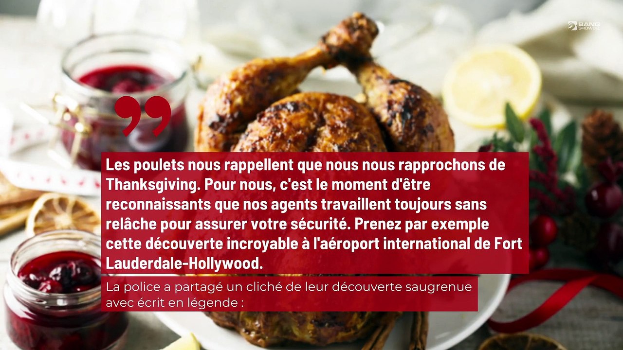 La police d’un aéroport découvre un pistolet fourré dans un poulet cru !