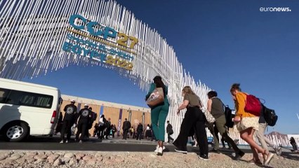 COP27: How technology plays a role in the climate change negotiations