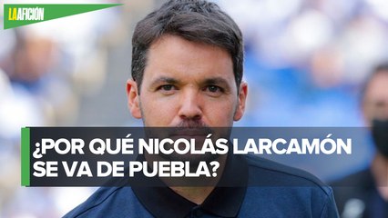 Nicolás Larcamón deja de ser DT del Puebla