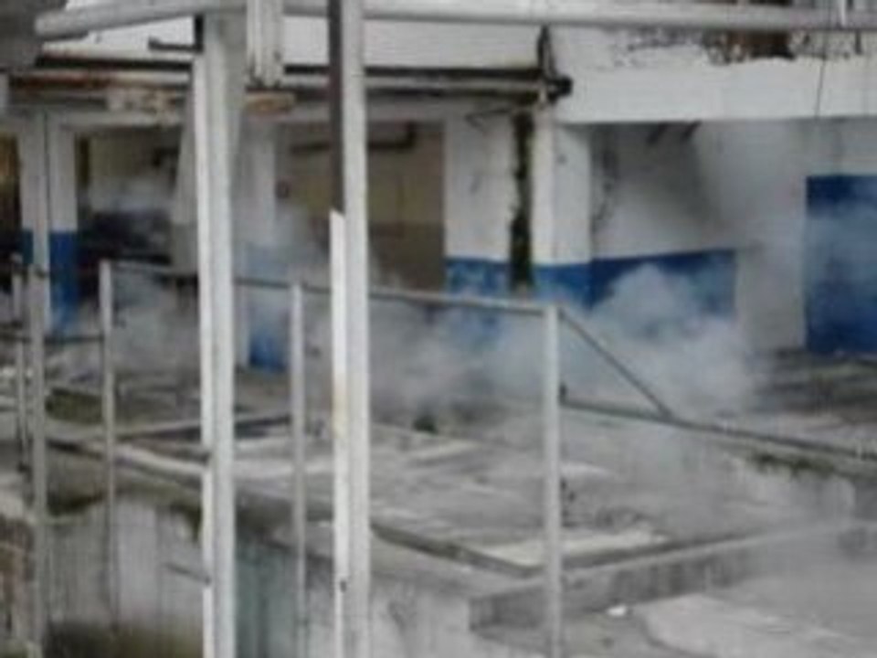 Fumigene à Julius