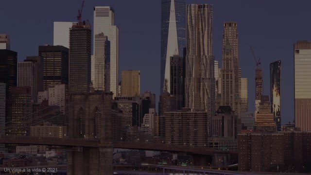 Meditación No digas nada sólo escúchalo lo necesitas - Un Viaje A La Vida