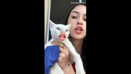 Cats talking ! these cats can speak english better than hooman (part 2)