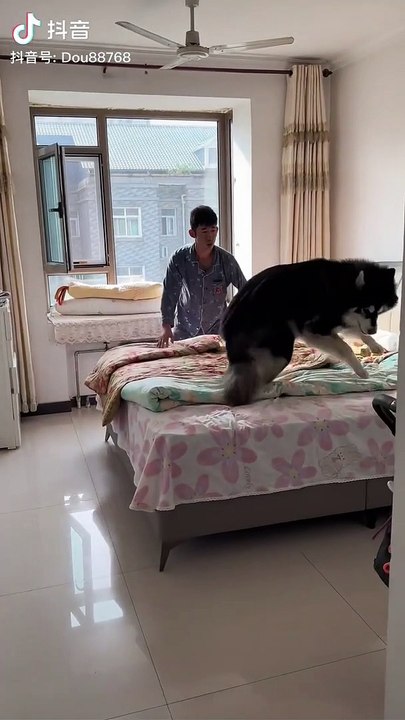 Samrt dog