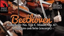 Beethoven: Symphony No. 5 in C Minor, Op. 67: I. Allegro con brio (excerpt)