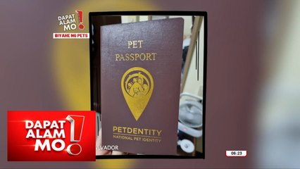 Furbabies, nagma-migrate na rin abroad?! | Dapat Alam Mo!